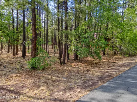 7202 Tall Pine Dr, Pinetop, AZ 85935