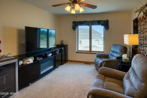 1420 W Haystack Rd, Taylor, AZ 85939 photo 20