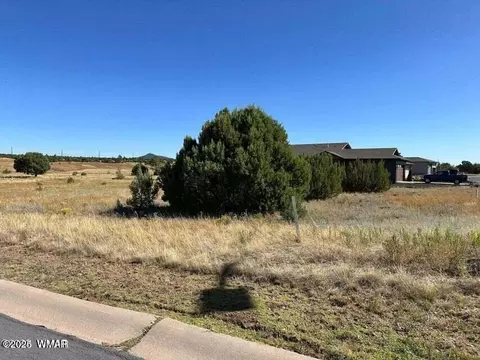 620 S Rock Ridge Dr #1A  74, Show Low, AZ 85901