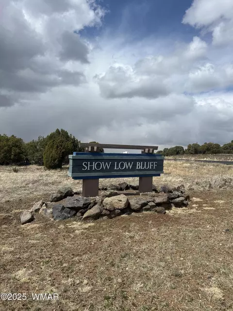 601 S Rockcreek Dr #1A  59, Show Low, AZ 85901