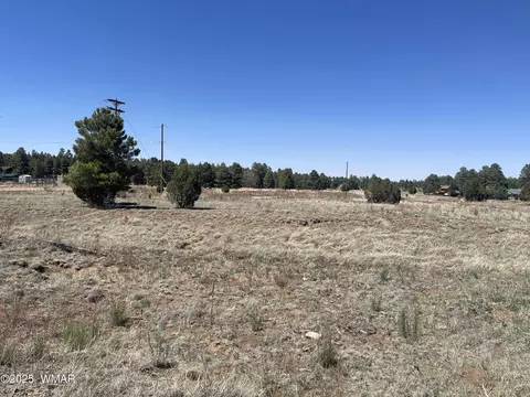 2278 Meadow Ln, Overgaard, AZ 85933