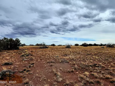 lot211 Dry Pasture Rd, Heber, AZ 85928