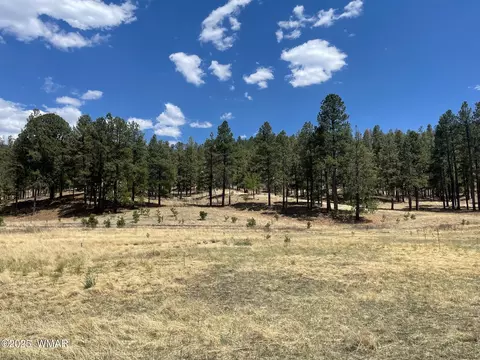tbd County Road N2275, Nutrioso, AZ 85932