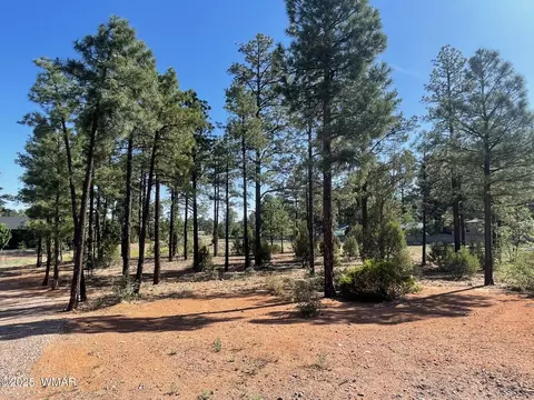 101 W Pine Haven Cir, Show Low, AZ 85901
