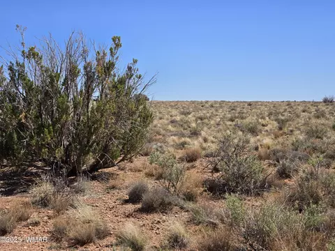 7761 7809 Miller Trl, Snowflake, AZ 85937