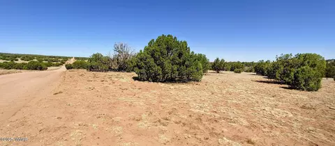 9182 Texas Ln, Show Low, AZ 85901