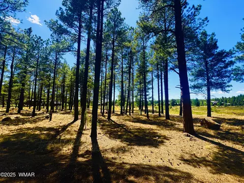 9578 Sierra Springs Dr, Pinetop, AZ 85935
