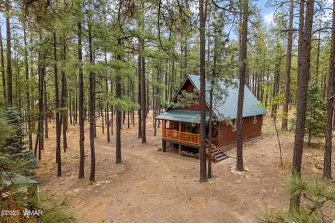 19 Hillcrest Dr, Alpine, AZ 85920