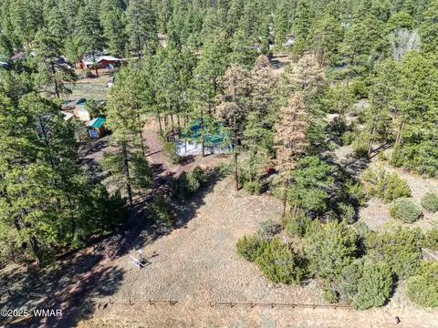 View/Area - 2905 Pine Rim Rd, Overgaard, AZ 85933 photo 2 of 3