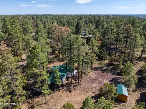 View/Area - 2905 Pine Rim Rd, Overgaard, AZ 85933 photo 1 of 3