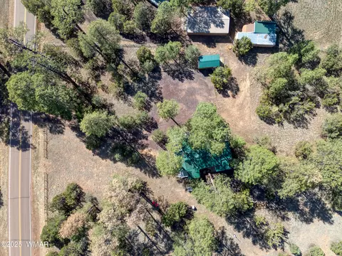 View/Area - 2905 Pine Rim Rd, Overgaard, AZ 85933 photo 3 of 3