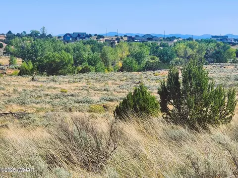 1415 W Tumbleweed Trl, Snowflake, AZ 85937