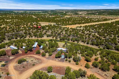 8596 Fox Cir, White Mountain Lake, AZ 85912 photo 28