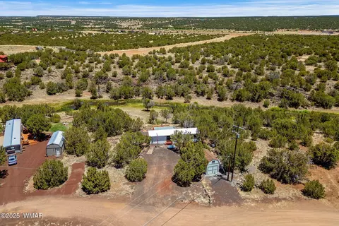 8596 Fox Cir, White Mountain Lake, AZ 85912 photo 29