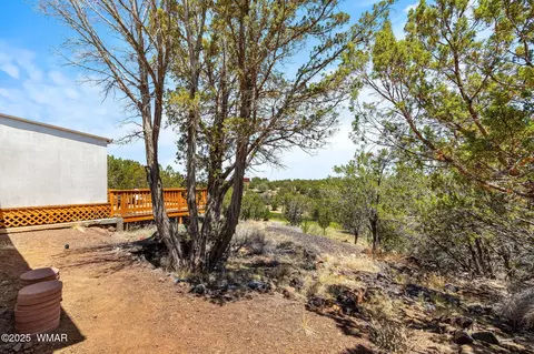 8596 Fox Cir, White Mountain Lake, AZ 85912 photo 20