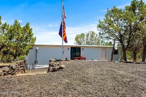 8596 Fox Cir, White Mountain Lake, AZ 85912 photo 19