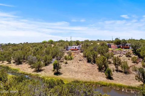 8596 Fox Cir, White Mountain Lake, AZ 85912 photo 30