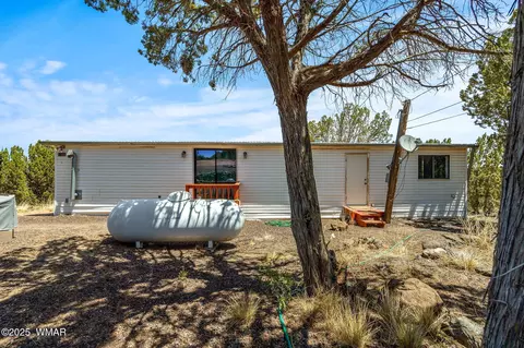 8596 Fox Cir, White Mountain Lake, AZ 85912 photo 17