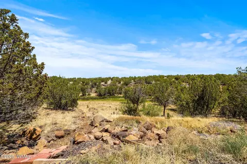8596 Fox Cir, White Mountain Lake, AZ 85912 photo 31