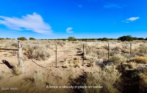tbd Cedar Hills 10479 Acres, Saint Johns, AZ 85936