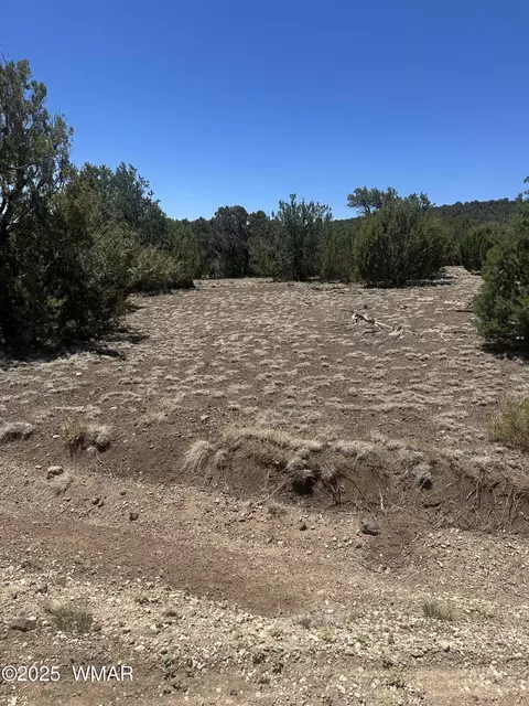 3 County Rd, Vernon, AZ 85940
