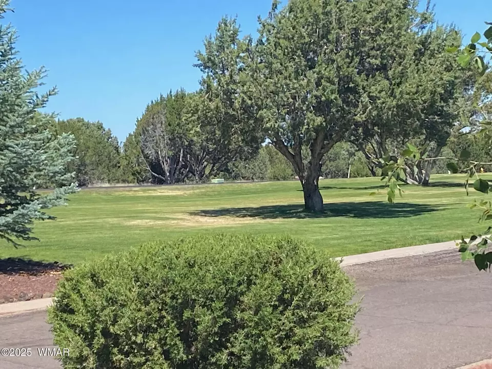  1917 Foxtrot Ln #LOT 75, Show Low, AZ 85901 photo 9
