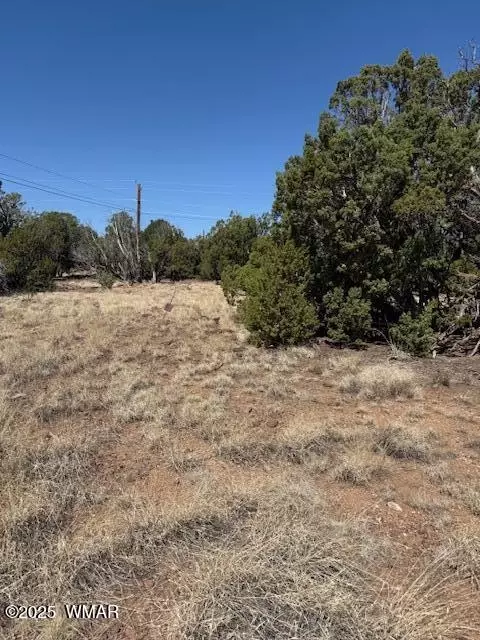 1858 Rainbow Cir, Show Low, AZ 85901