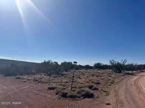 36 County Road N8487, Concho, AZ 85924