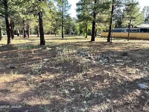 5151 Saddle Strap Way, Pinetop, AZ 85935