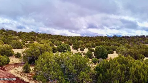 tbd Co Rd 8256 Lots A B 10 Acres, Concho, AZ 85924