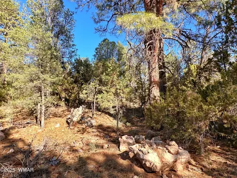 3377 Mogollon Dr, Overgaard, AZ 85933