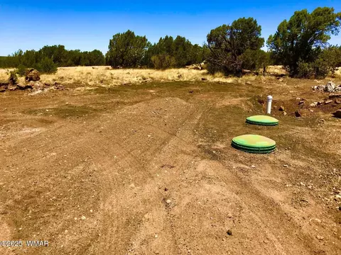8486 Cannon Blvd, Show Low, AZ 85901