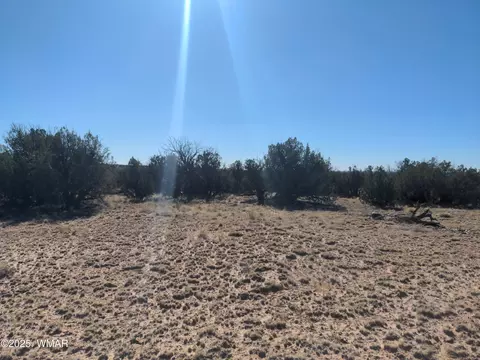 lot35 6718, Saint Johns, AZ 85936