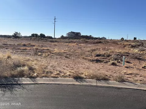 2153 W Elk Rd, Snowflake, AZ 85937
