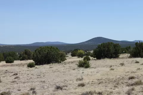 36 County Road 8249, Concho, AZ 85924