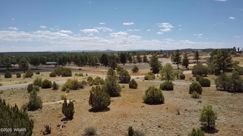 1060 Linden Valley Rd, Show Low, AZ 85901