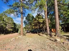 2183 Hashknife Dr, Overgaard, AZ 85933 photo 5