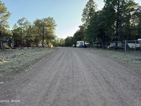 2183 Hashknife Dr, Overgaard, AZ 85933 photo 37