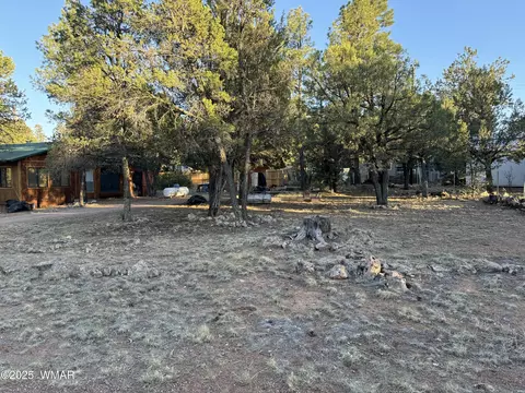 2183 Hashknife Dr, Overgaard, AZ 85933 photo 30