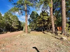 2183 Hashknife Dr, Overgaard, AZ 85933 photo 4