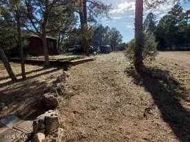 2183 Hashknife Dr, Overgaard, AZ 85933 photo 21