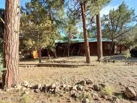 2183 Hashknife Dr, Overgaard, AZ 85933 photo 22