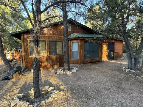 2183 Hashknife Dr, Overgaard, AZ 85933 photo 33