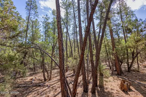 2038 Pine Wood Ln, Pinetop, AZ 85935