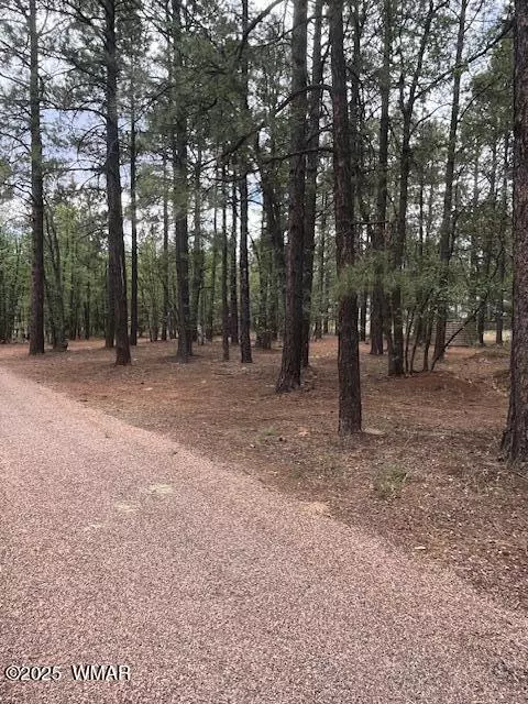 5480 Apache Trl, Pinetop, AZ 85935