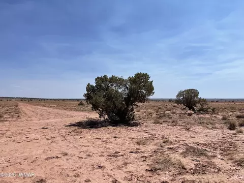 8191 E Concho Highway Parcel D #PARCEL D, Snowflake, AZ 85937 photo 2