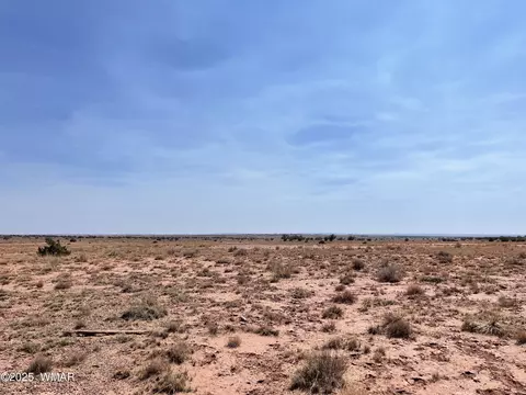 8191 E Concho Highway Parcel D #PARCEL D, Snowflake, AZ 85937