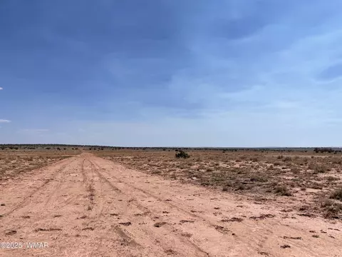 8191 E Concho Highway Parcel D #PARCEL D, Snowflake, AZ 85937 photo 3