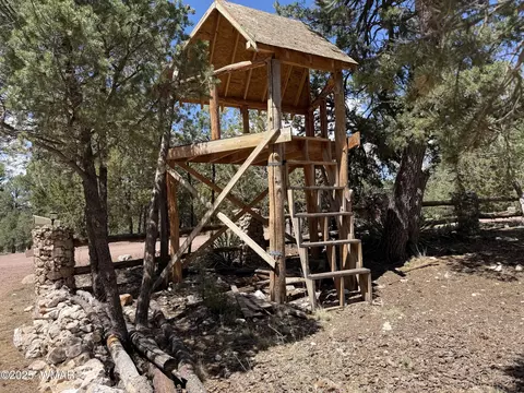 Other - 2097 Ranger Rd, Overgaard, AZ 85933 photo 10 of 12