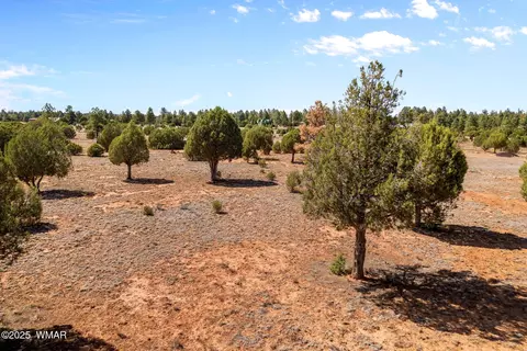 Nnnnn Iron Spur, Show Low, AZ 85901